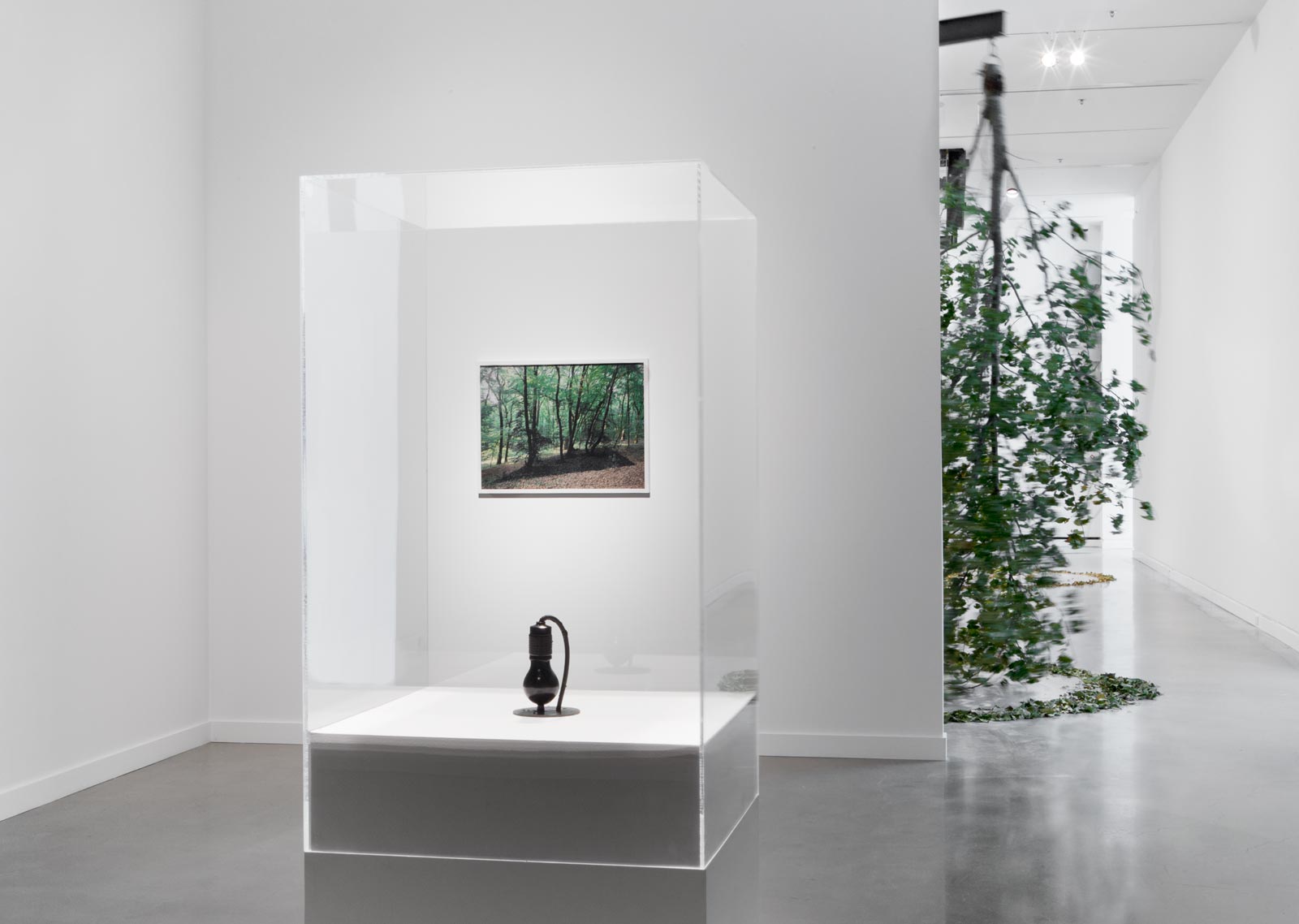 It Might As Well Be Spring