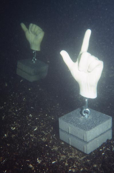 U14, 14° 12' 0,15'' N / 12° 09' 08.1'' E