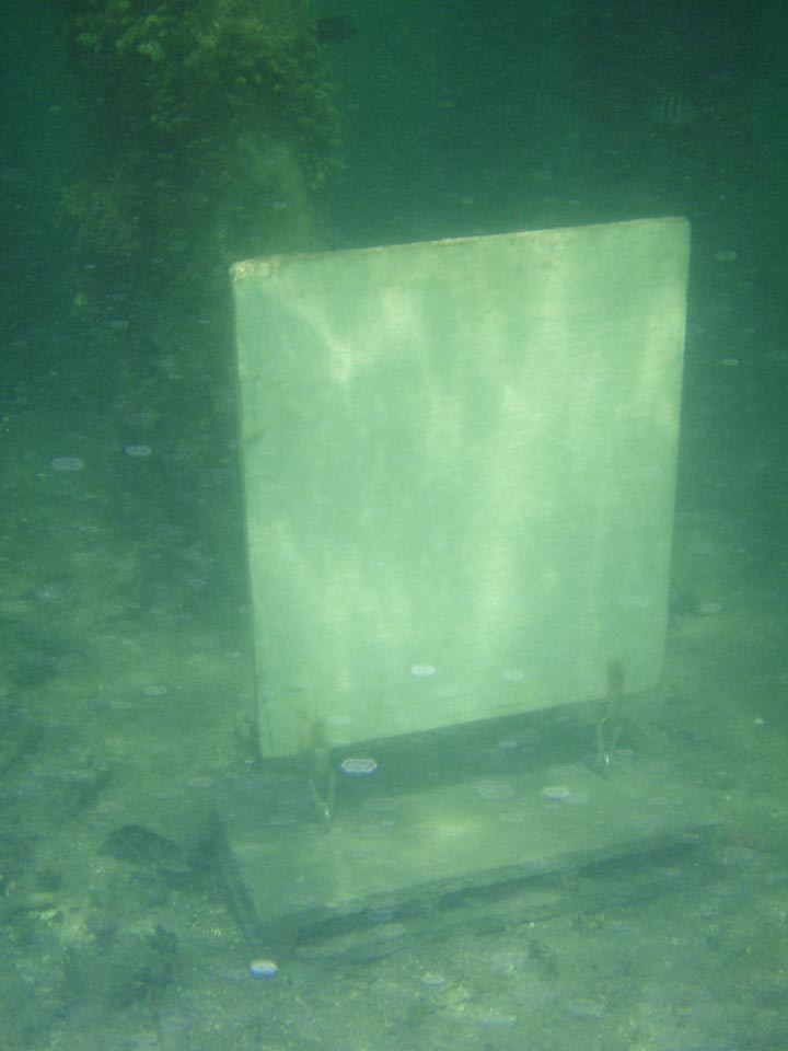 U4, 14° 34' 79,0'' N / 60° 50' 69,6'' W